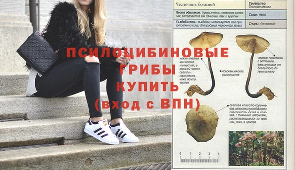 мяу мяу мука Красноперекопск