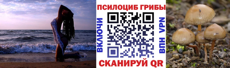 Купить где  Нижние Серги  Галлюциногенные грибы Magic Shrooms 